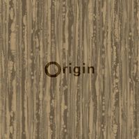 Origin